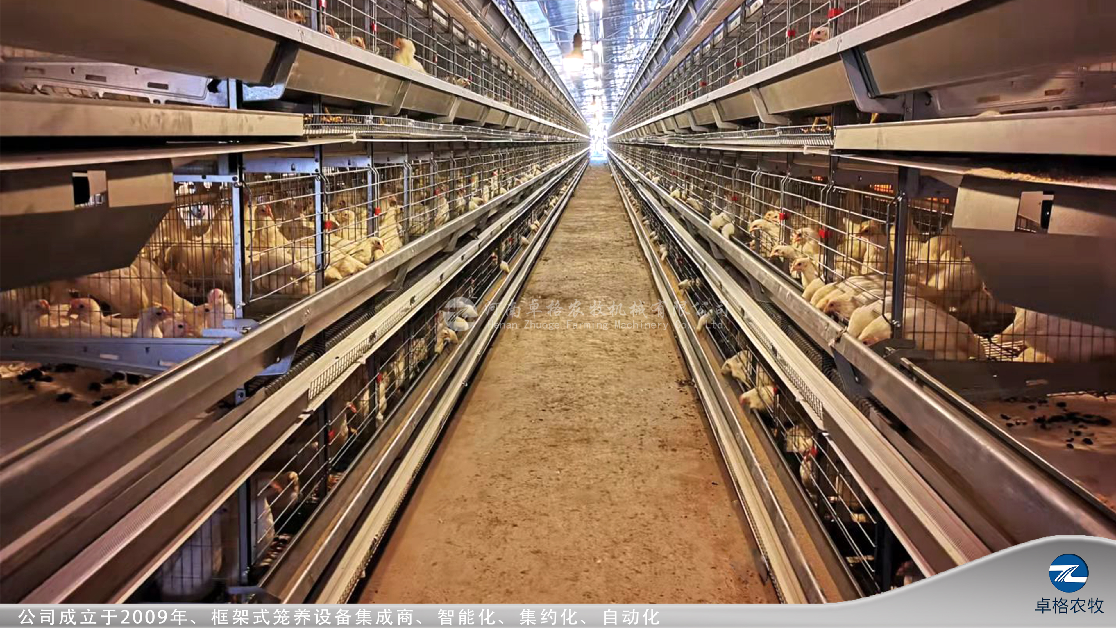 大層疊蛋雞籠-水印圖片 (73).jpg