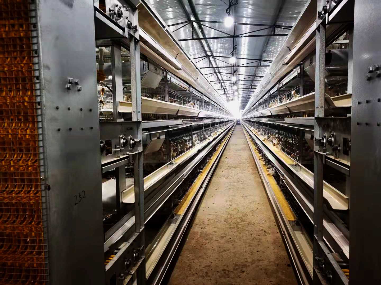 2021.10月重慶墊江四層小層疊蛋雞籠安裝現(xiàn)場-原圖片 (2).jpg