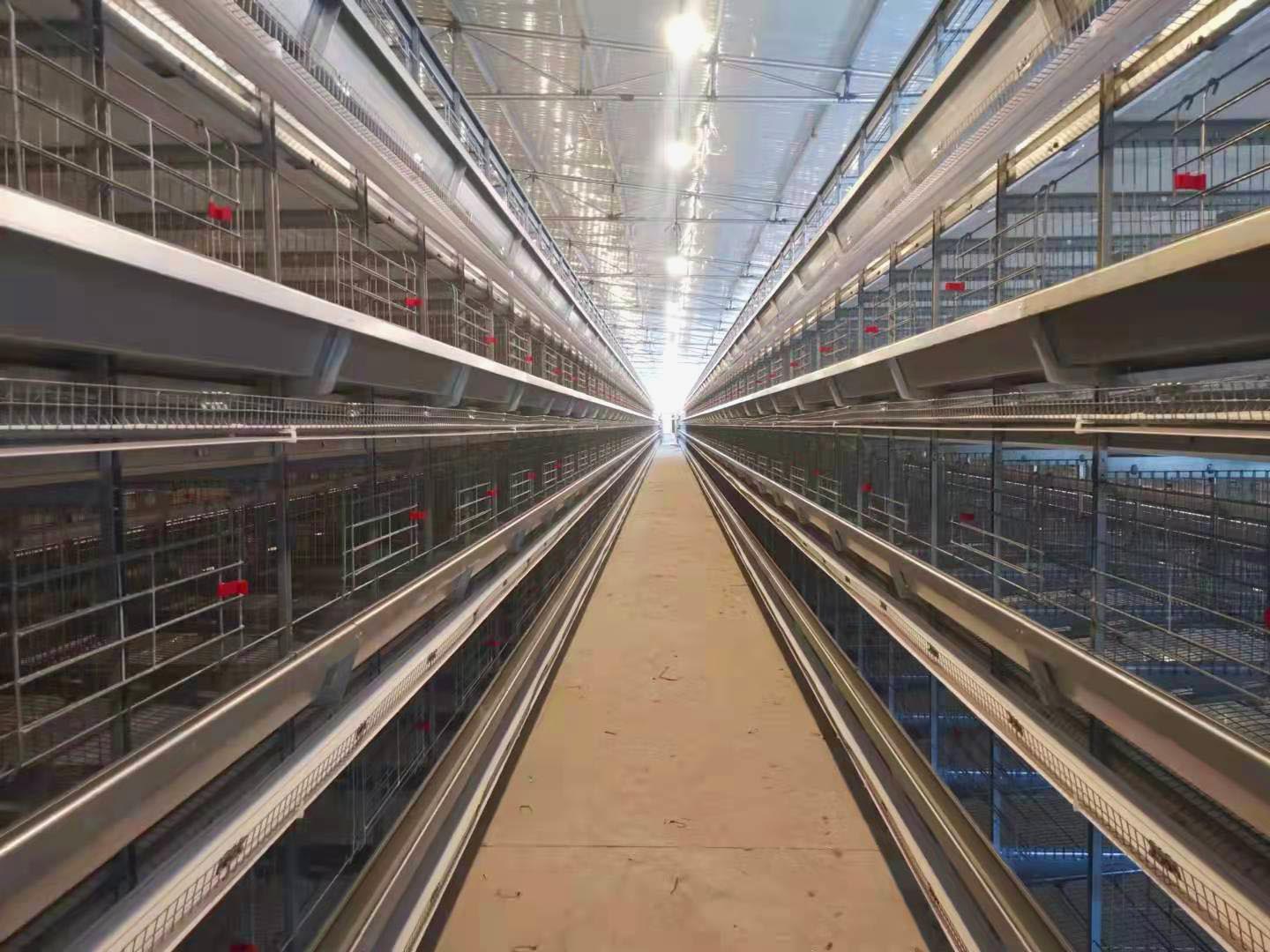 大層疊蛋雞籠-原圖片 (24).jpg