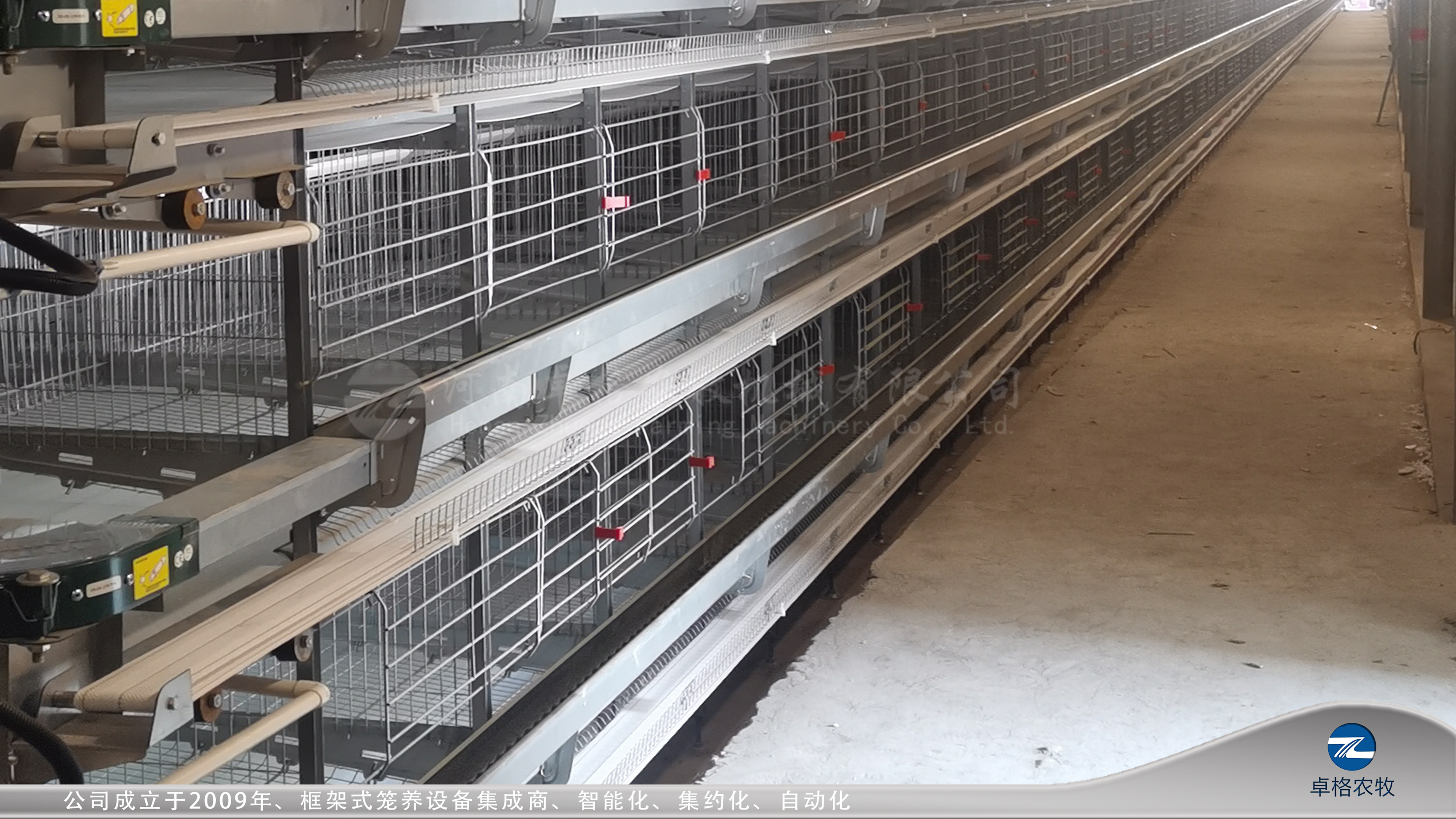 大層疊蛋雞籠-水印圖片 (25).jpg